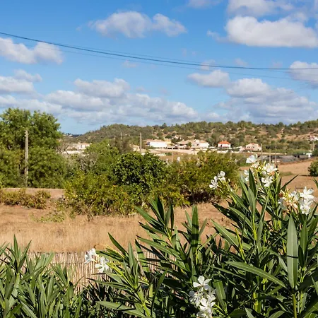 Casinha Do Quinteiro - Relax To The Sound Of Birds Holiday home *